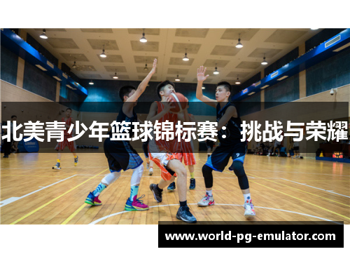 北美青少年篮球锦标赛:挑战与荣耀 北美青少年篮球锦标赛:挑战与荣耀