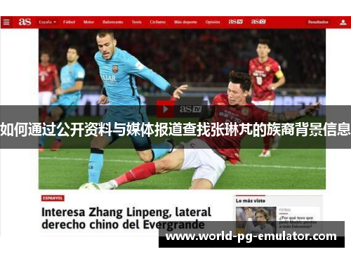 如何通过公开资料与媒体报道查找张琳芃的族裔背景信息 如何通过公开资料与媒体报道查找张琳芃的族裔背景信息