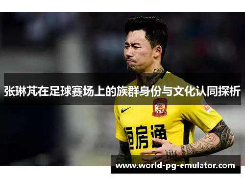 张琳芃在足球赛场上的族群身份与文化认同探析 张琳芃在足球赛场上的族群身份与文化认同探析
