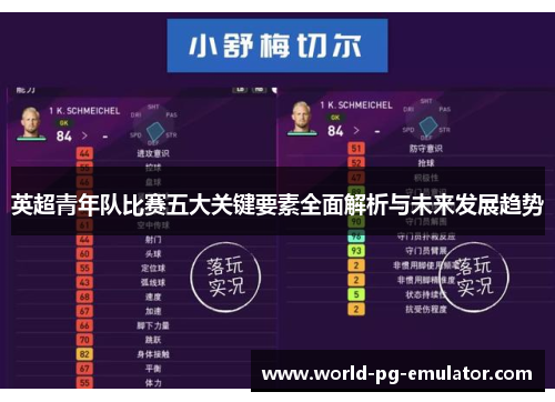 英超青年队比赛五大关键要素全面解析与未来发展趋势 英超青年队比赛五大关键要素全面解析与未来发展趋势