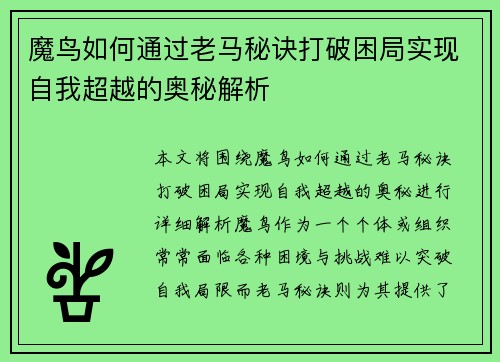 魔鸟如何通过老马秘诀打破困局实现自我超越的奥秘解析